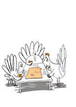 Load image into Gallery viewer, Turkey Notecards