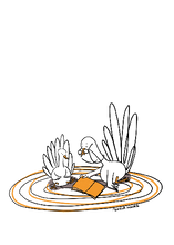 Load image into Gallery viewer, Turkey Notecards