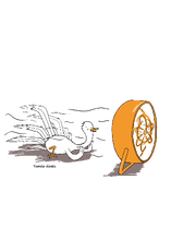 Load image into Gallery viewer, Turkey Notecards